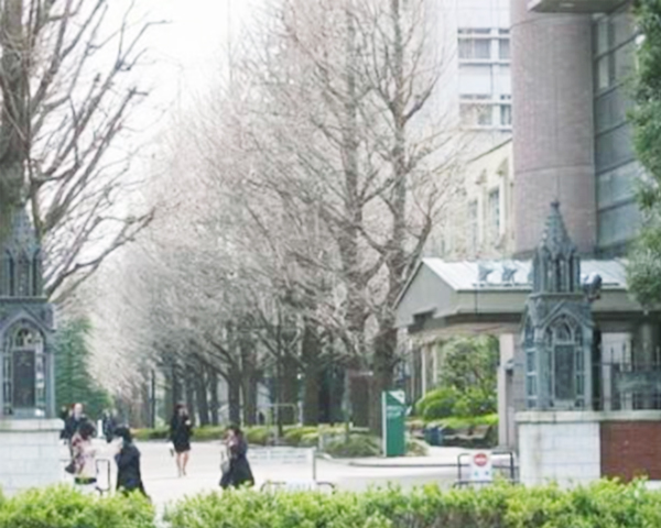 青山学院大学