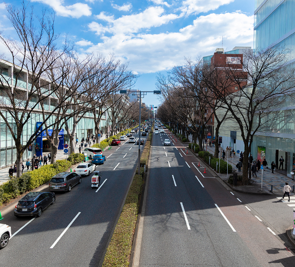 青山・表参道エリア